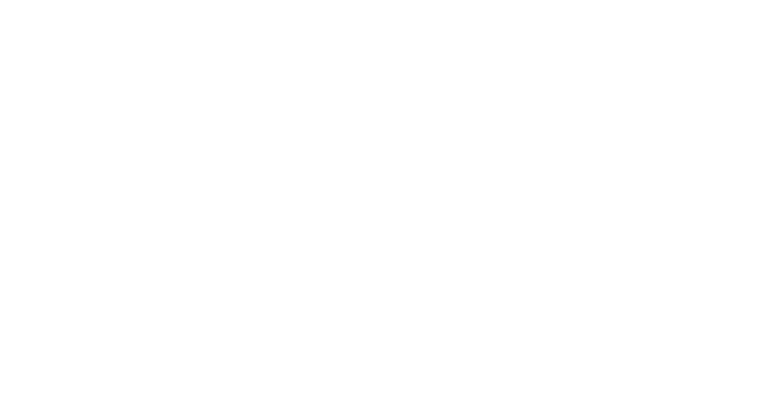 Vector 1528